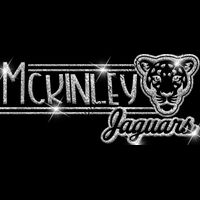 GLT101 SILVER GLITTER Thumbnail